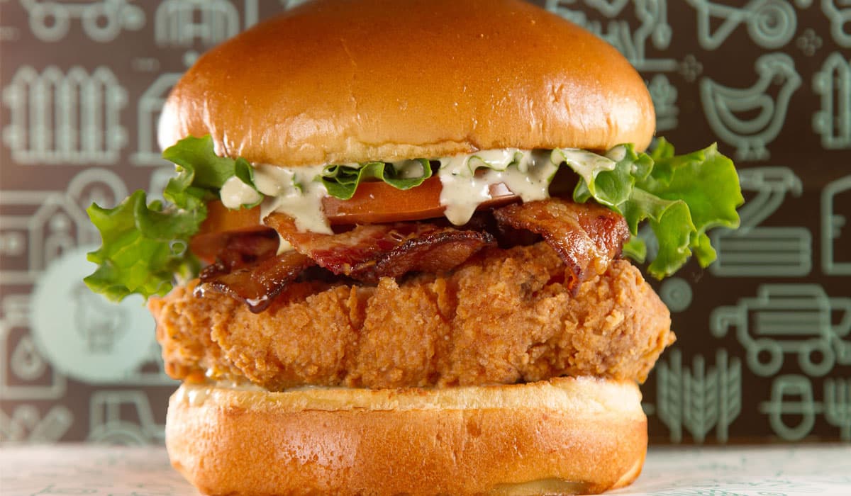 Chicken Sandwich At The Hatchery,