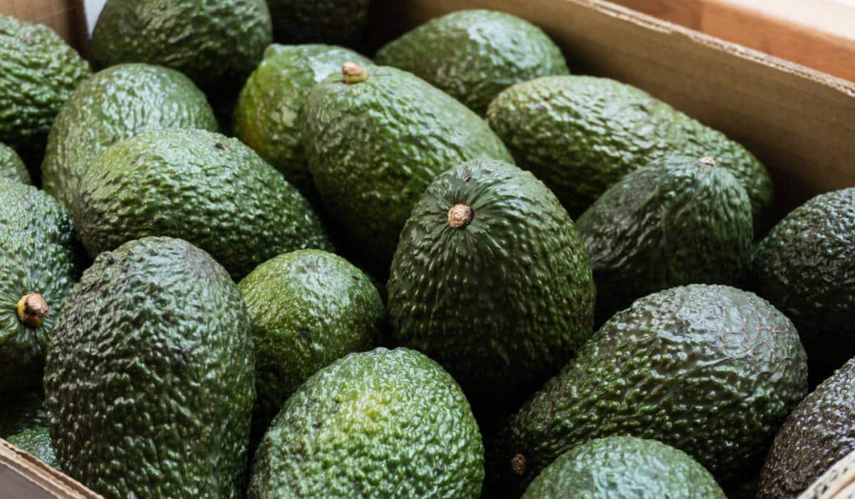 Avocados in a basket.